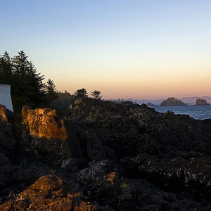 Meet your Posher, Patty